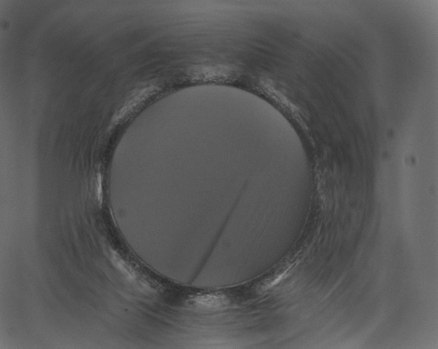 X0000062620067200601111045