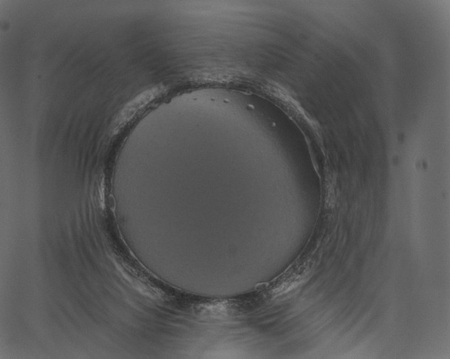 X0000062620068200601111045