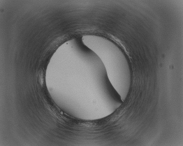 X0000062620069200601111045