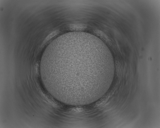 X0000062620071200601111045