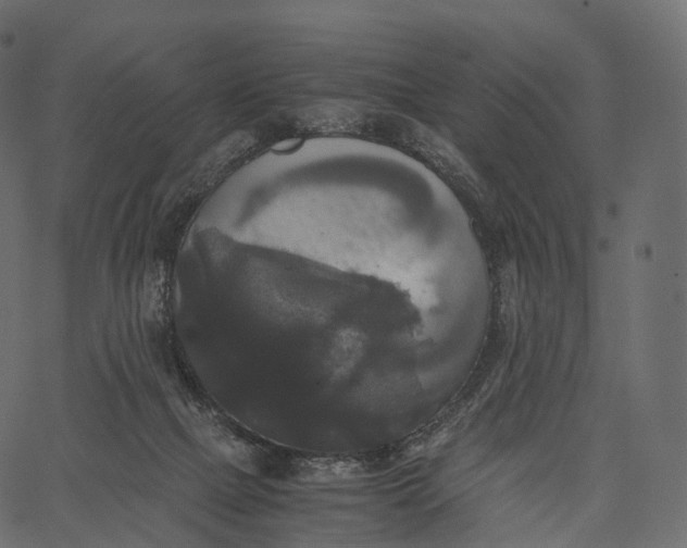 X0000062620073200601111045