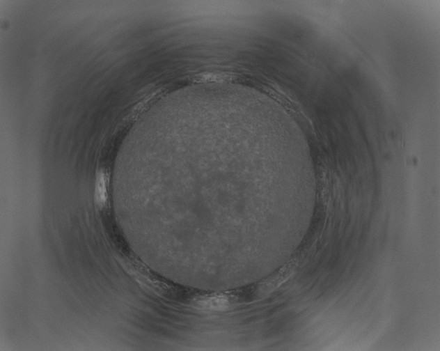 X0000062620075200601111045