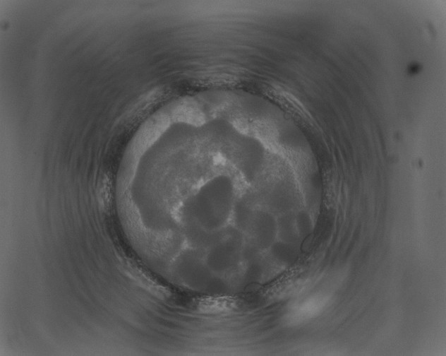 X0000062620077200601111045