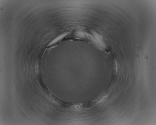 X0000062620080200601111045