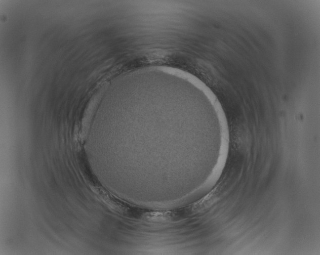 X0000062620082200601111045