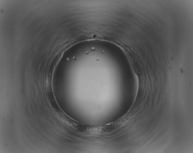 X0000062620084200601111045