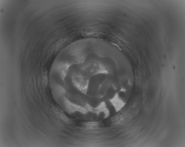 X0000062620085200601111045