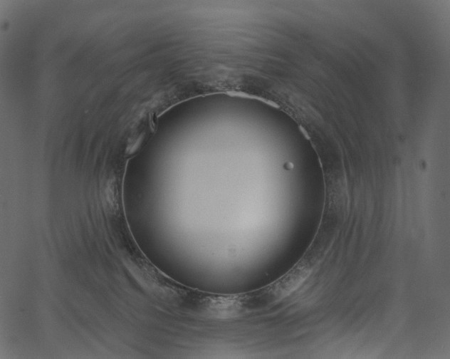 X0000062620088200601111045