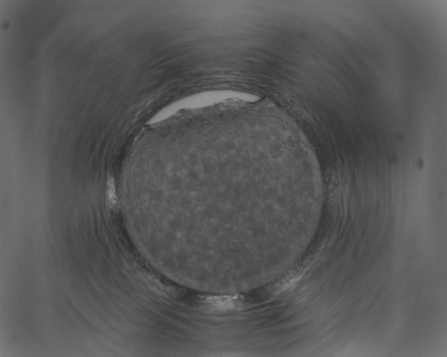 X0000062620089200601111045