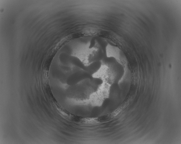 X0000062620093200601111045