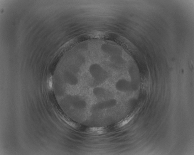 X0000062620095200601111045