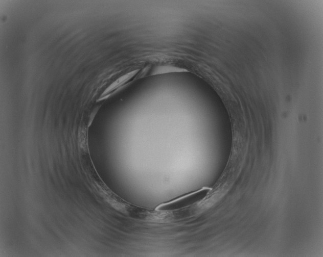 X0000062620096200601111045