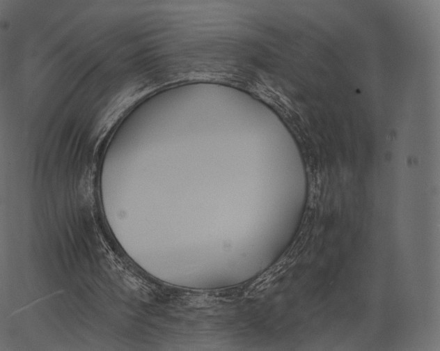 X0000062620098200601111044