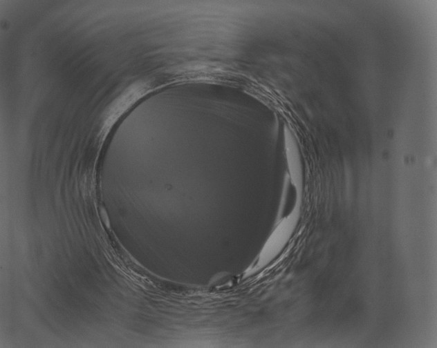 X0000062620099200601111044