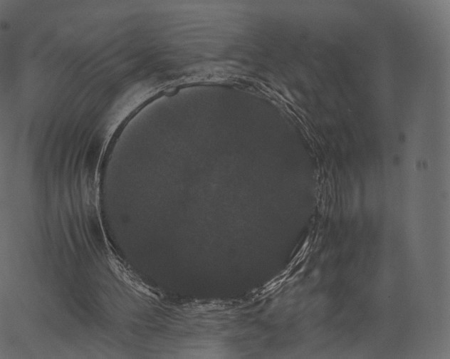 X0000062620100200601111044