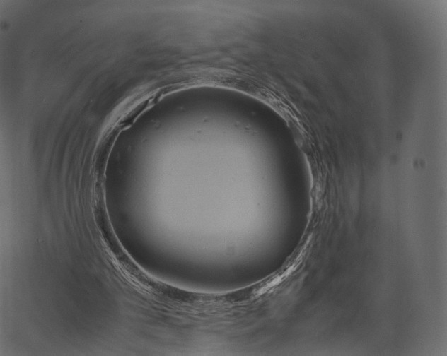 X0000062620101200601111044