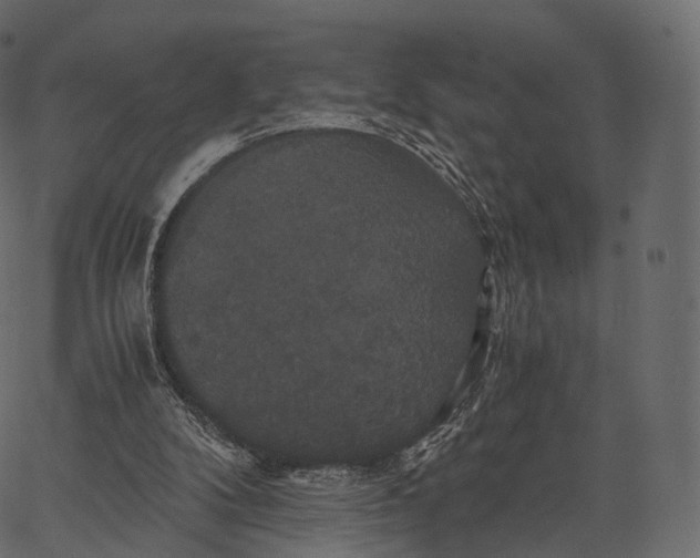 X0000062620104200601111044