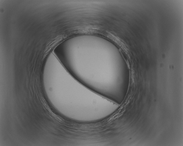 X0000062620105200601111044