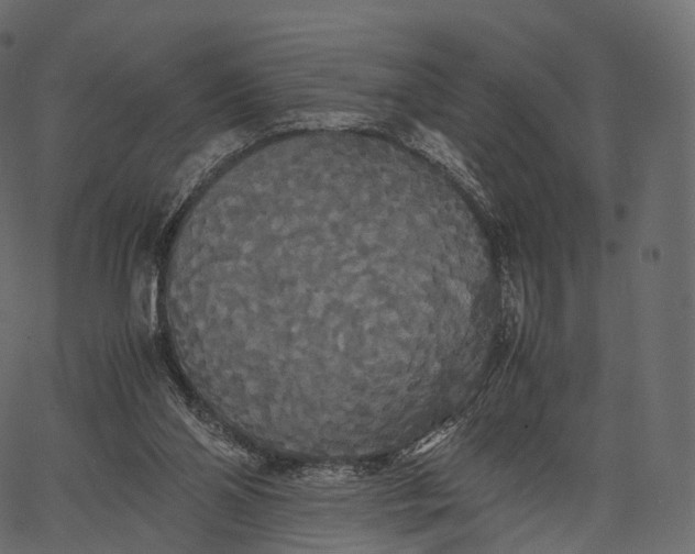 X0000062620110200601111044