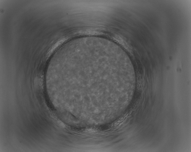 X0000062620111200601111044