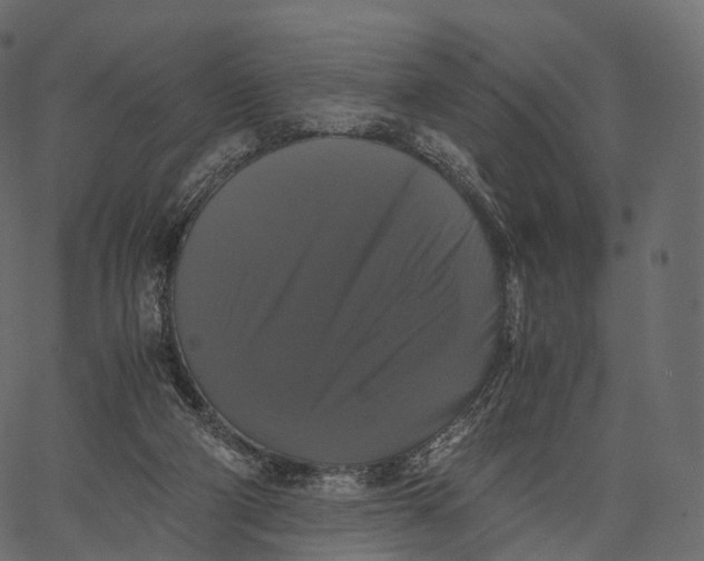 X0000062620114200601111044