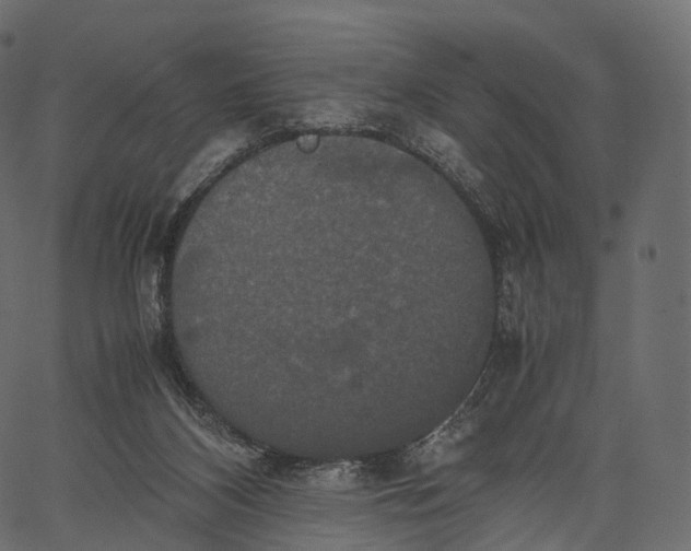 X0000062620116200601111044