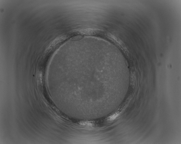 X0000062620117200601111044