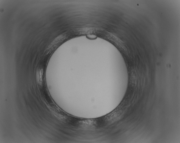 X0000062620118200601111044