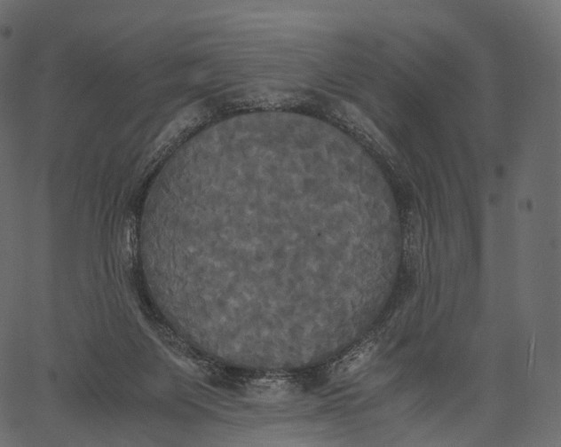 X0000062620119200601111044