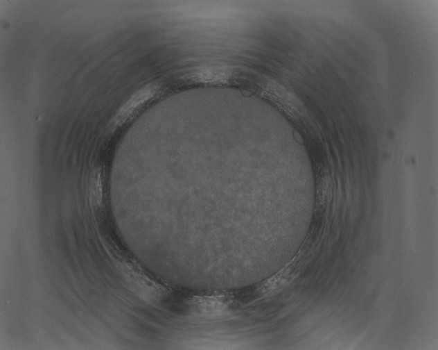 X0000062620120200601111044