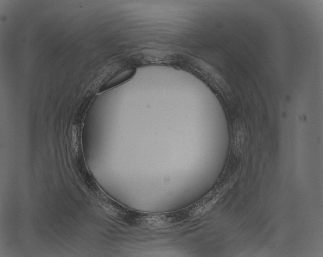 X0000062620121200601111044