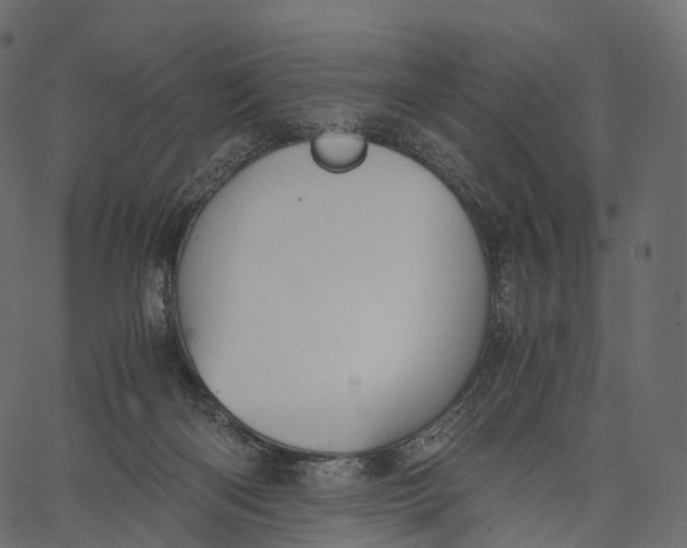 X0000062620122200601111044