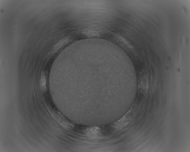 X0000062620124200601111044