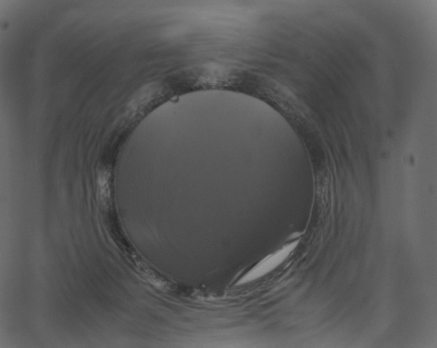 X0000062620127200601111044