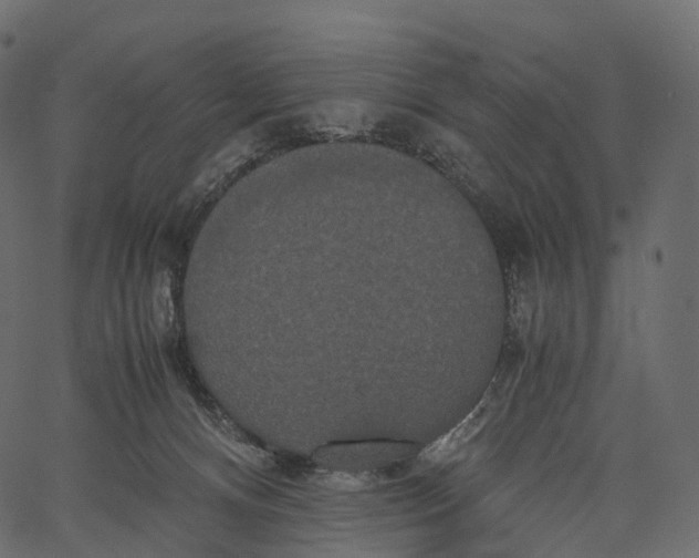 X0000062620128200601111044