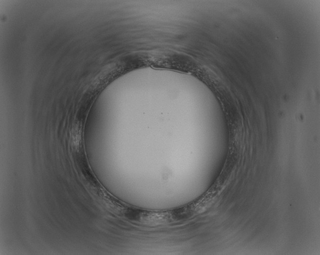 X0000062620129200601111044