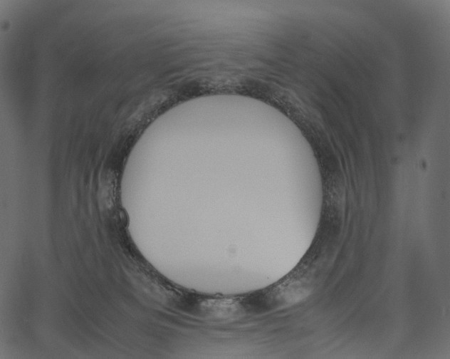 X0000062620133200601111044