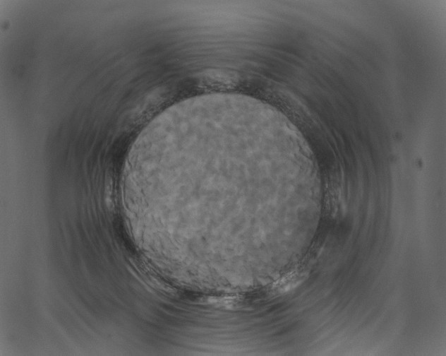 X0000062620134200601111044