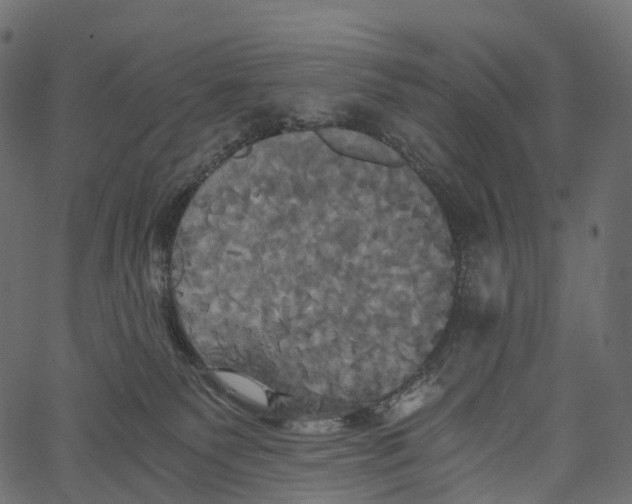 X0000062620135200601111044