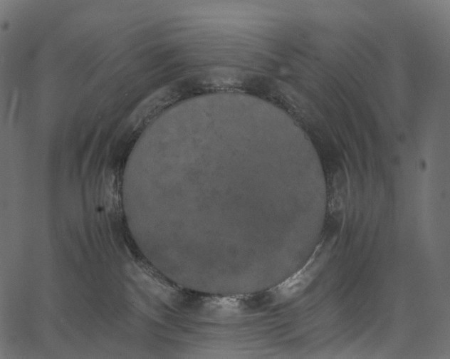 X0000062620140200601111044