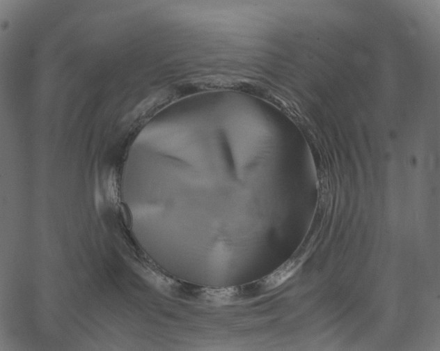 X0000062620143200601111044