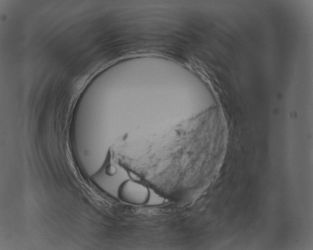 X0000062620145200601111043