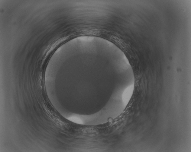 X0000062620146200601111043