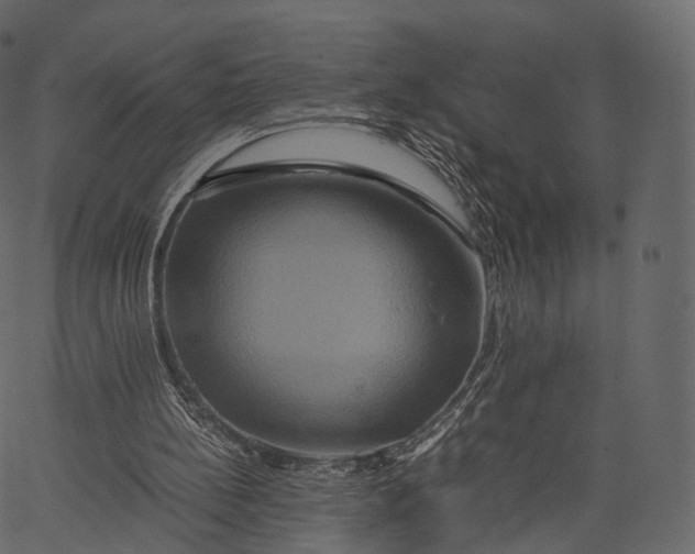 X0000062620148200601111043