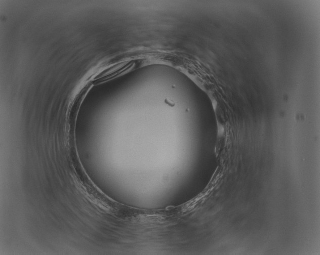 X0000062620150200601111043