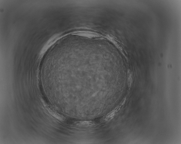 X0000062620151200601111043