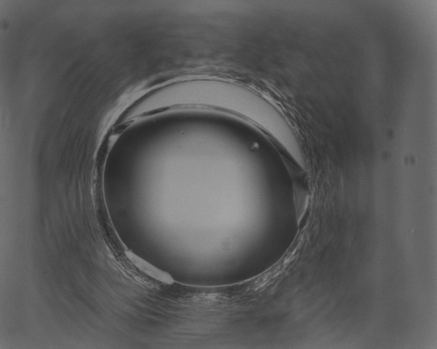 X0000062620152200601111043