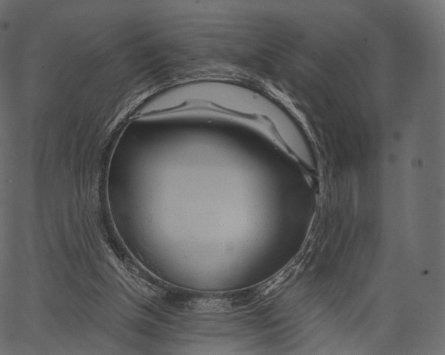 X0000062620154200601111043