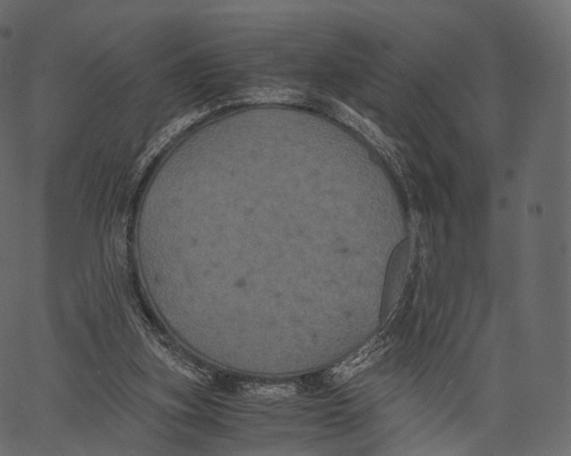 X0000062620155200601111043