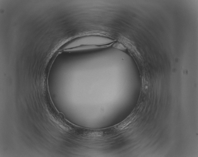 X0000062620156200601111043